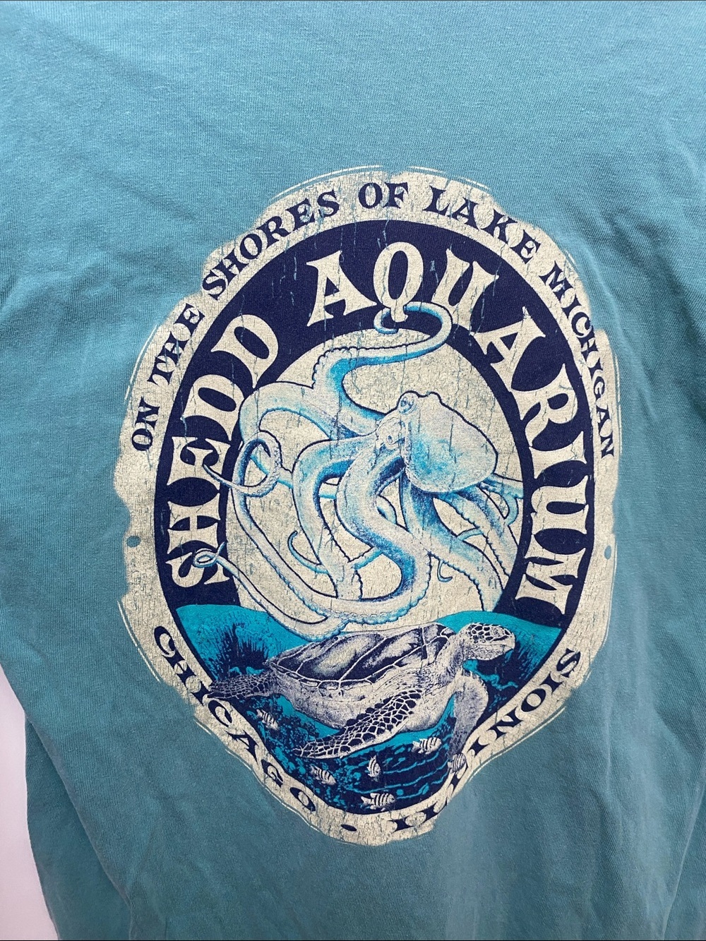 Comfort Colors Teal Short-Sleeve Graphic Tee - Picture 4 of 4